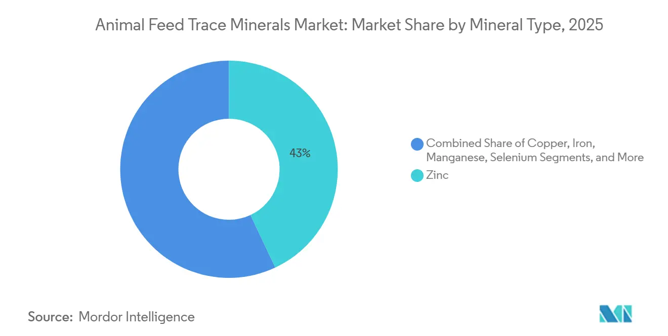 Animal Feed Trace Minerals Market: Market Share by Mineral Type