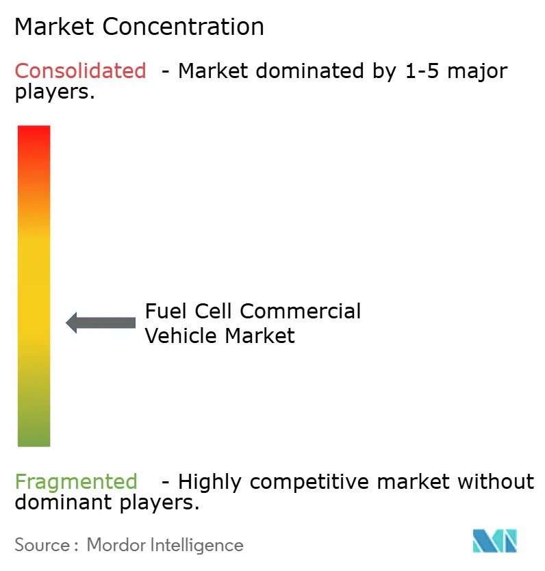 Fuel Cell Commercial Vehicle Market Concentration