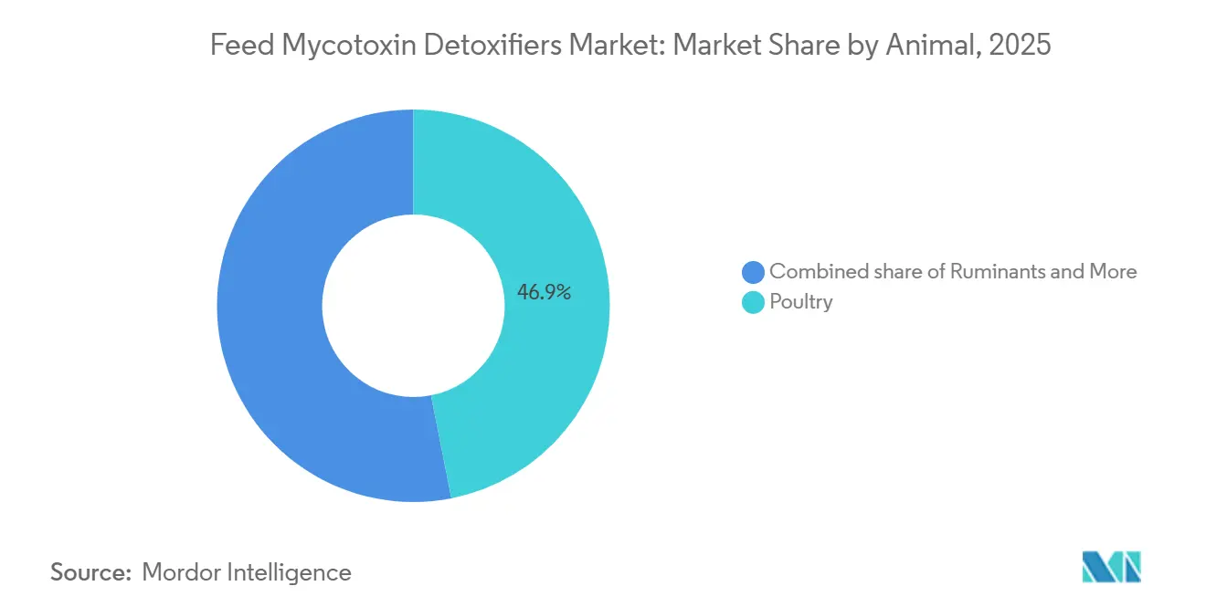Feed Mycotoxin Detoxifiers Market: Market Share by Animal