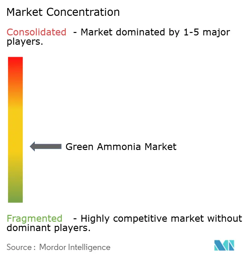 Green Ammonia Market Concentration