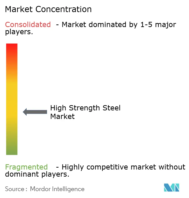 High Strength Steel Market - Market Concentration