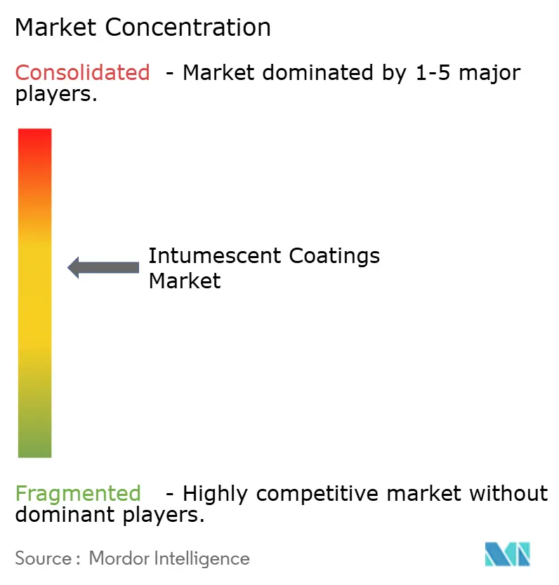 Intumescent Coatings Market Concentration