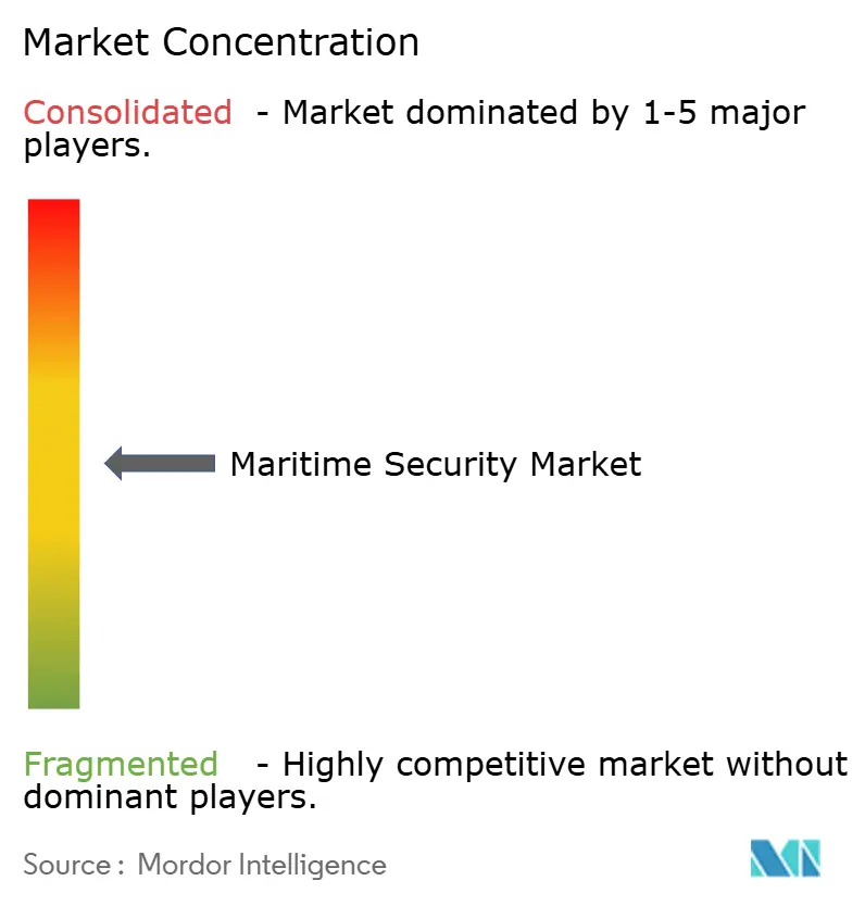 Maritime Security Market Concentration