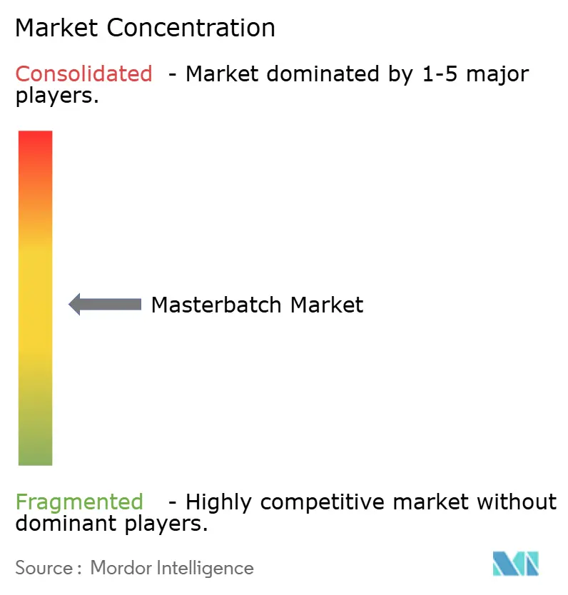 Masterbatch Market - Market Concentration