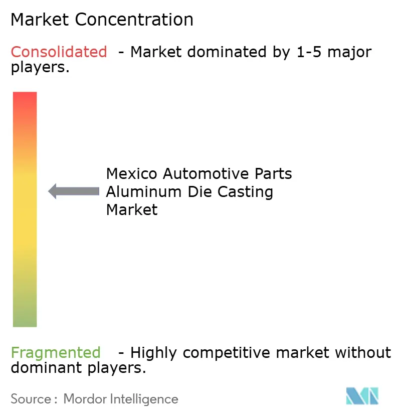 Dynacast, Nemak, Bocar, S.A. de C.V, Ryobi Die Casting, Sandhar Technologies Limited