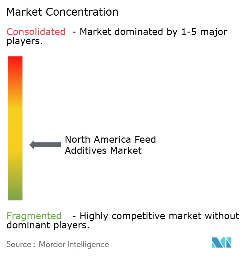 North America Feed Additives Market