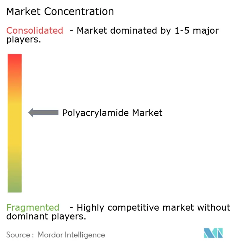 Polyacrylamide Market - Market Concentration